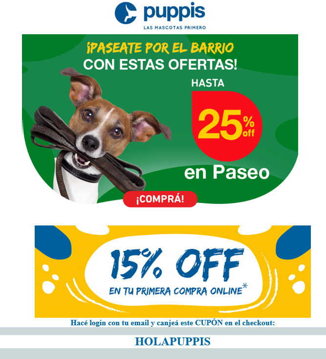 campaña email marketing